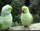 何を話してるの？