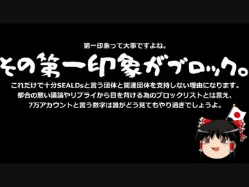 【ゆっくり保守】SEALDsは誰に何を伝えたかったのか？
