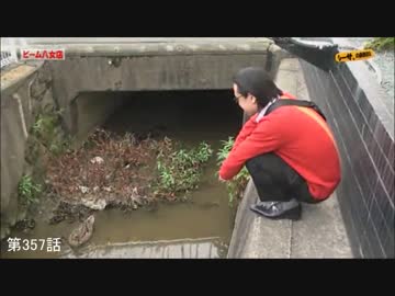 シーサ。の回胴日記_名場面集【500回記念】 前編