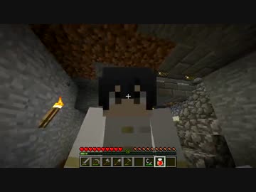 【APヘタリア】裏枢軸眉毛のMinecraft -5-