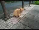 20160628