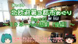 【みっくり】北欧避暑３都市めぐり Part42～スキポールの悲劇（後編）～