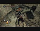 【ダークソウル２】100回死んだら終了のデスルールで実況プレイ Part31-3