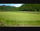 kagosima no soukimai