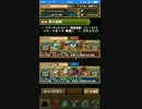 【パズドラ】ヘラベオーク周回　ディオススキル上げ