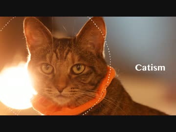 【ネコラップ】Catism feat.nucorap # T.Cats;