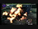 MHX 上位ナルガクルガ ストライカーハンマー ３分５５秒 拘束アイテム無し