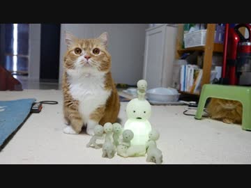 【マンチカンズ】猫とスミスキー