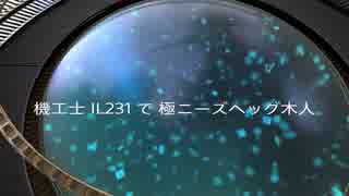 FF14【3.3】機工士（231）で極ニーズヘッグ木人