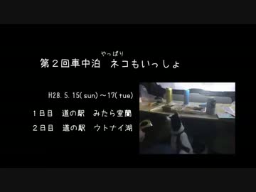 第２回車中泊ネコもいっしょ
