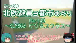 【みっくり】北欧避暑３都市めぐり Part43～KLM863 ビジネスクラス～