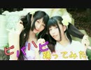 【茶雪とミケ汰と】ビバハピ歌ったり踊ったり【べべりんこ】