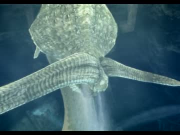MH3G 　新約　終章　「大海レイプ！狩人と化した先輩」