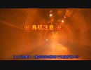 (旧道)国道13号『主寝坂隧道』