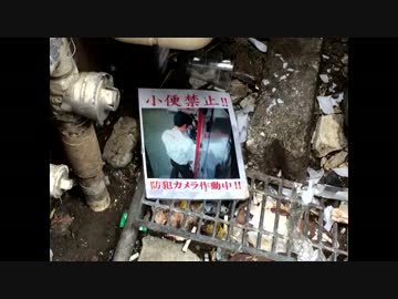 【裏刺激】池袋裏ツアー