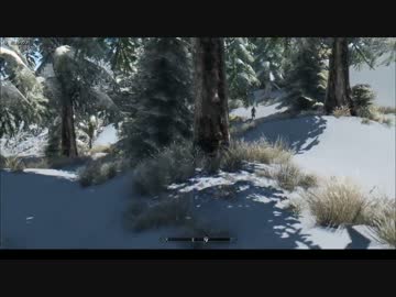 【Skyrim】VIGILANT地味プレイ#2【字幕】