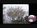 ゆっくり農民35畑を拓いてみませんか？#6