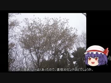 ゆっくり農民35畑を拓いてみませんか？#6