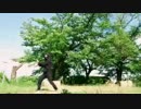 【 iDee】ギガンティックO．T．N 踊ってみた【 修正版】