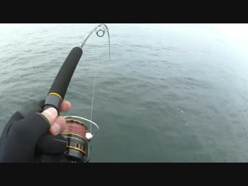 【にしやんFC】ジギング第4弾後編！