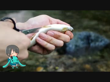 一人と一匹のイワナ釣り計画その2