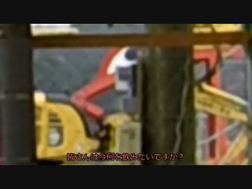 【自転車】ちょっと西日本横断して屋久島行ってくる＃２　～和歌山市