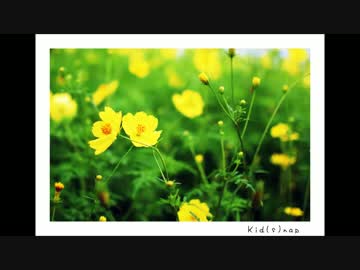 【NNI】kid(s)nap【エレクトロニカ】