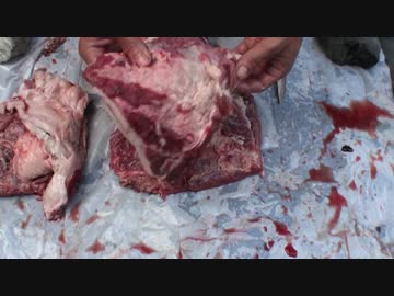 三年目狩猟生活（その７１）