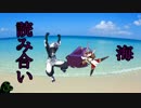 ～読み合いの海～　参ぱちゃ目