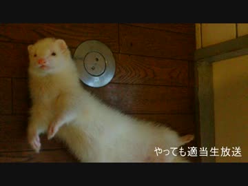 やってもの適当生放送アーカイブ動画　その３３