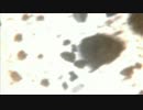 pso2 2016-07-08 23-04-08-877
