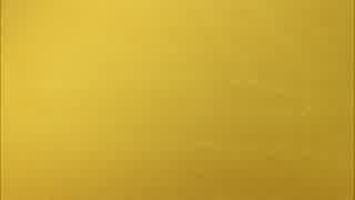【off vocal】GOLDFINGER '99