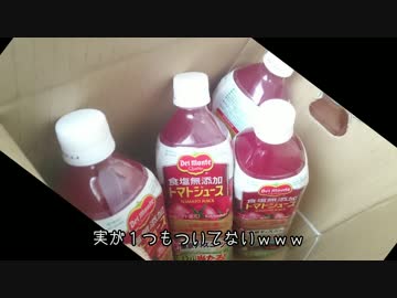 見習い農家　Lv28