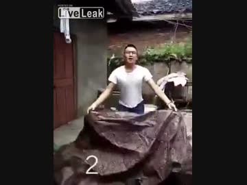 ヤバすぎる消えるマジック