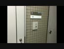 横山緑　嘘をつかないと公約した放送で早速嘘をつく