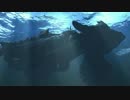 生放送【FINAL FANTASY X】今更だけどFFXやるよ【第9回2/5】