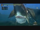 【4人視点】たぬきの狩猟生活 in MH3G Part-20