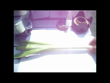 【ラーツー？】ラーツーにいってみた【２２杯目】