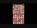 【パズドラ】極限の闘技場1 超究極ミル(7倍)