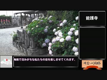 【三十路女の埼玉一周旅・妻沼（熊谷）編】うっとりしっとりあじさい寺