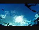 水深3mから空を見上げてみた。