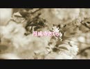 円成寺さくら - 祈り　配信PR
