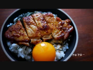 【夏を】ひとり豚丼祭りしてみた。【ぶっ飛ばせ】