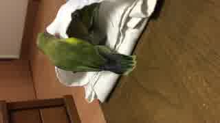 悪巧み。