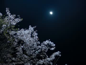 【BGM素材】Moonflower【オリジナル曲】