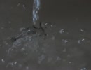 ＨＳカメラはとらえた　水の美しき流動体を（音無し）