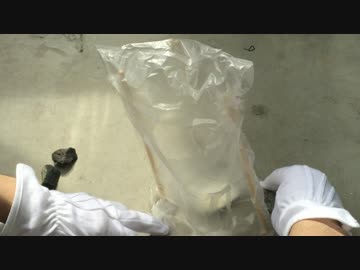 蟻戦争＃11　新入り君とヤマアリさんの関係編　