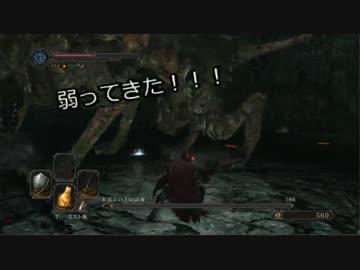 【実況】ネズミの王の試練【ろろ】