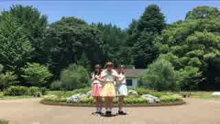 【CANDYPLANET】ⅯelodyⅬine【踊ってみた】