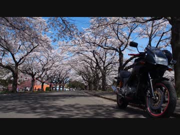 さよならゼルビス